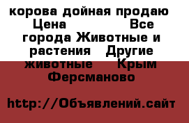 корова дойная продаю › Цена ­ 100 000 - Все города Животные и растения » Другие животные   . Крым,Ферсманово